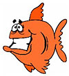 Fish Fry Info